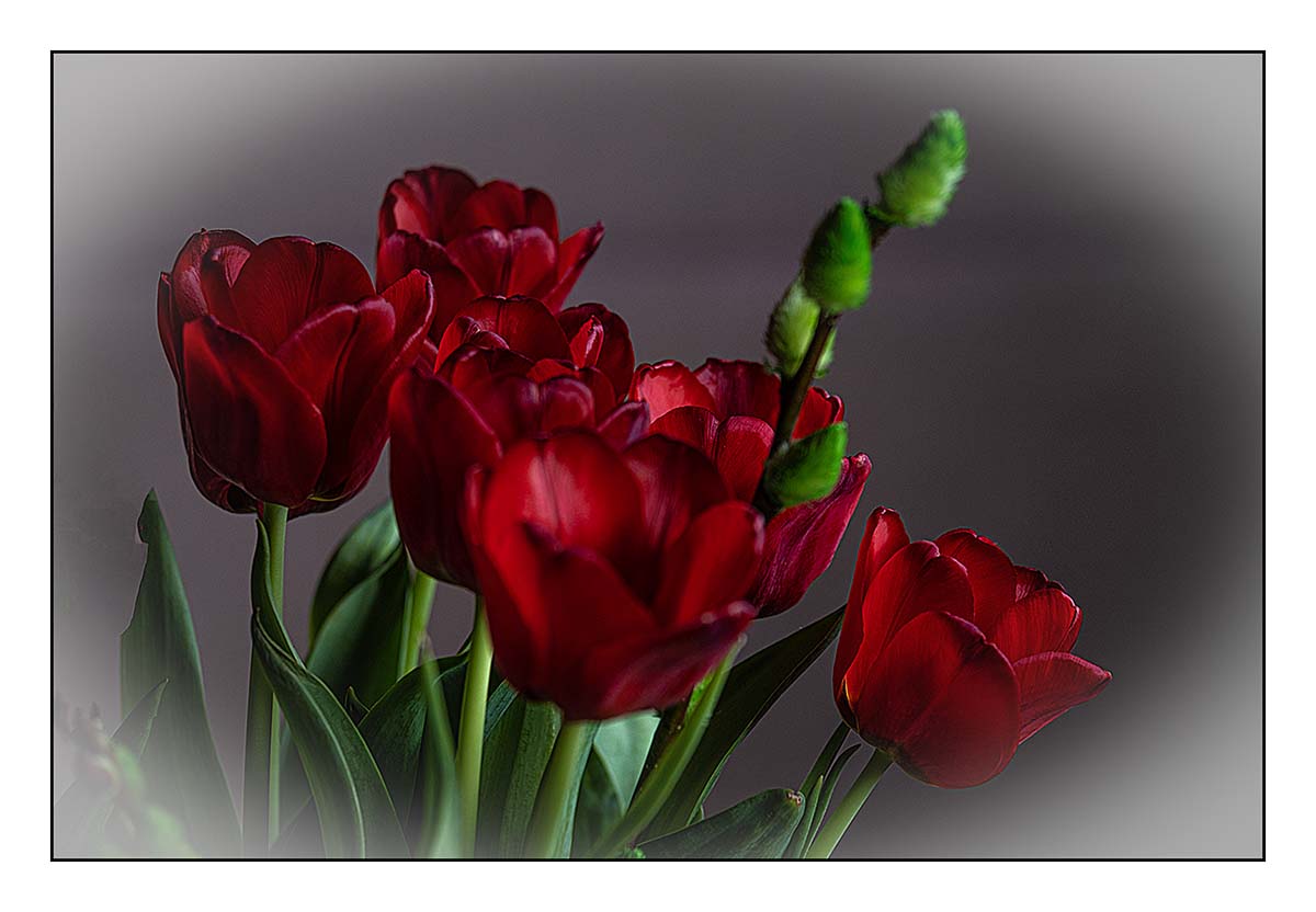 09.Duben