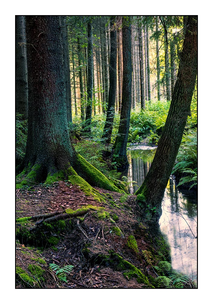 27.Září