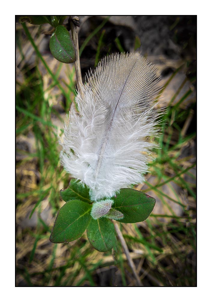 8.Duben