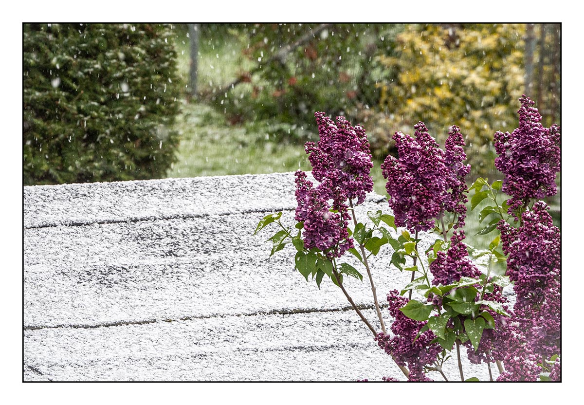 22.Duben