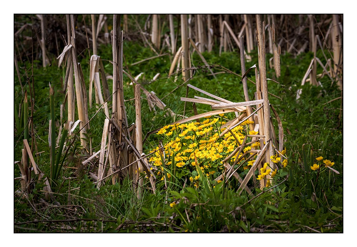 23.Duben