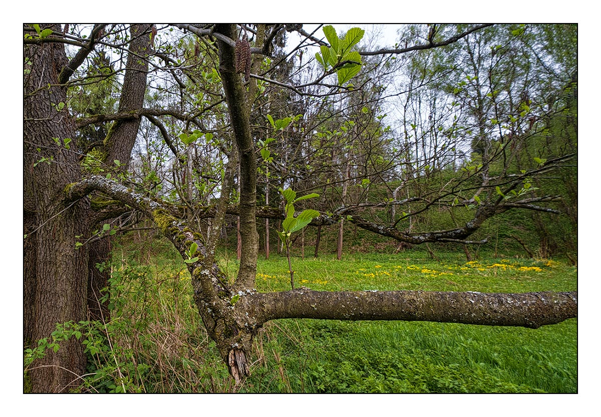 27.Duben