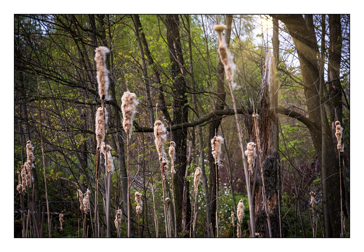 28.Duben