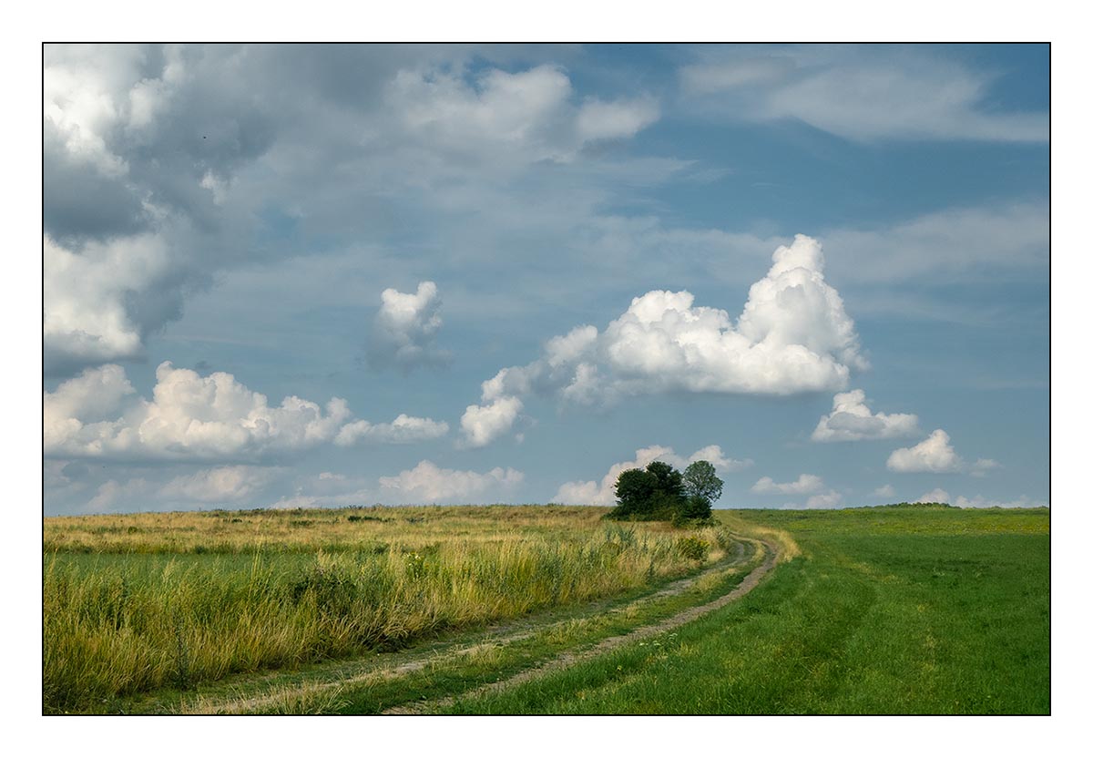 29.Červenec