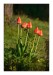 27.Duben