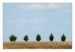 17.Červenec